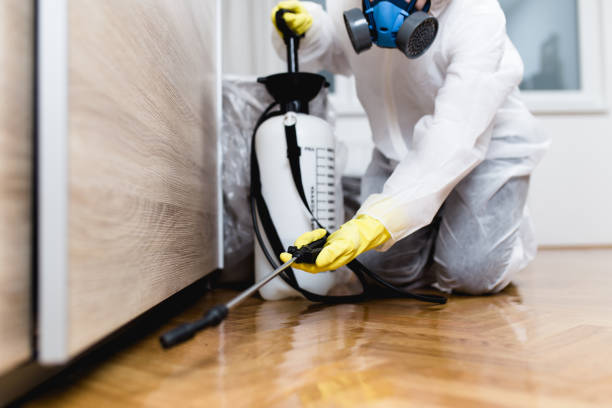 Best Pest Control Near Me  in North Catasauqua, PA