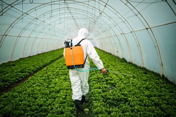 Pest Control Cost in North Catasauqua, PA