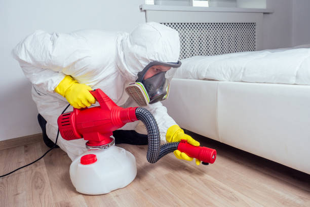 Flea Control Services in North Catasauqua, PA