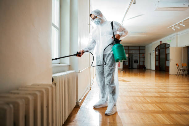 Best Flea Control Services  in North Catasauqua, PA